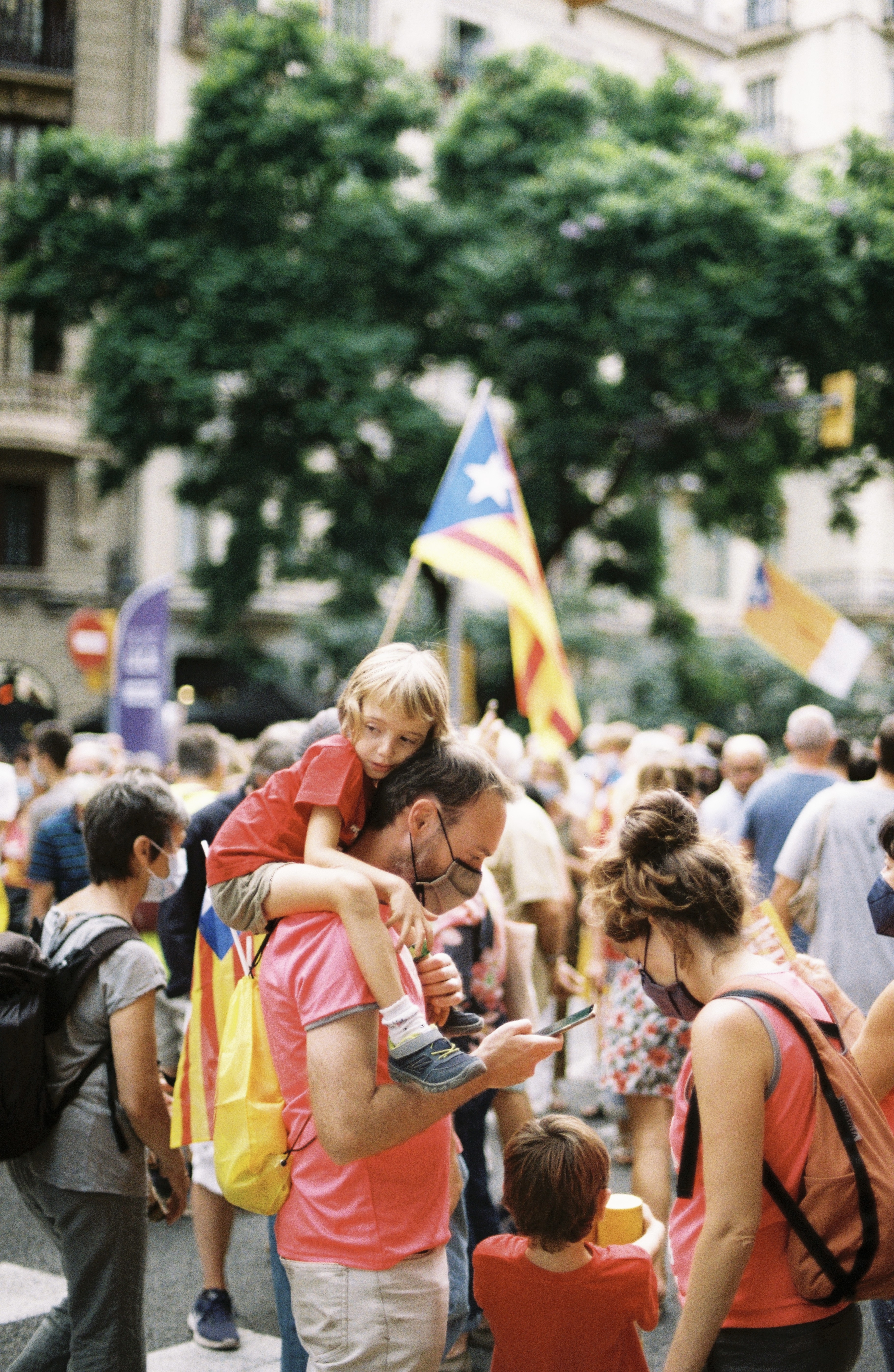 BCN7